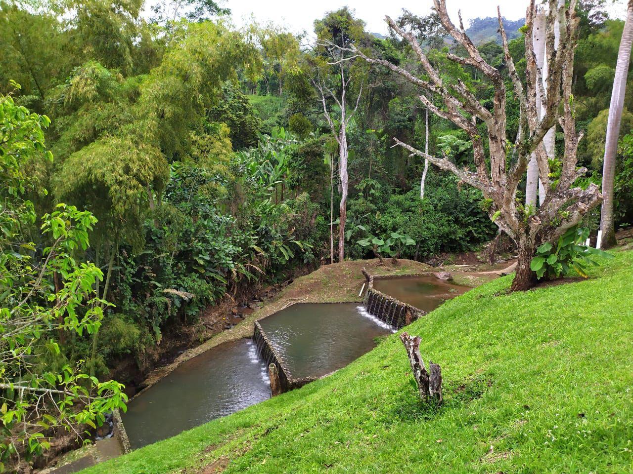 Galería Finca en venta – Combia, Pereira